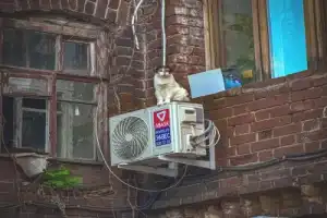 Дворики старой Самары (в группе) - 7