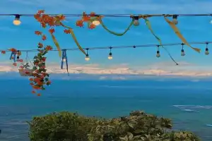 Кахетия — родина вина, чачи и красоты! - 12