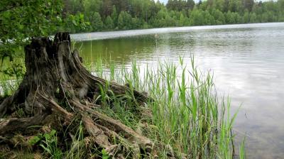 Град Китеж и озеро Светлояр - 4