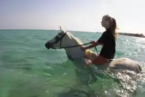 Конные прогулки по пустыне и к Красному морю - 21