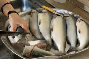 Утро с рыбаком Торгомом на Севане - 8