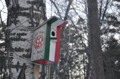 Академгородок: удивительные места и люди - 11