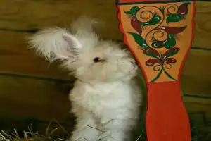 «Искусное веретено»: мастер-класс по прядению в Вологде - 5