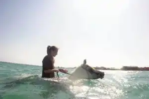 Конные прогулки по пустыне и к Красному морю - 22