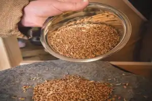 «По сусекам поскрести — по амбарам помести»: мастер-класс на мельнице - 2