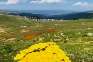 Хуло и окрестности — сердце Горной Аджарии - 16