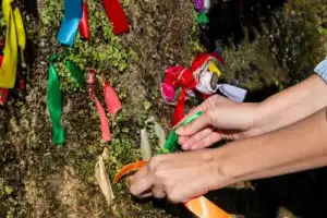 Рица и водопады Абхазии - 2