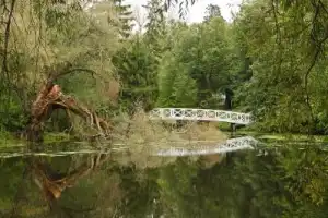 Музей-заповедник «Болдино» (из Нижнего Новгорода) - 2