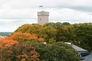 Фотопрогулка по старинному Таллину - 13