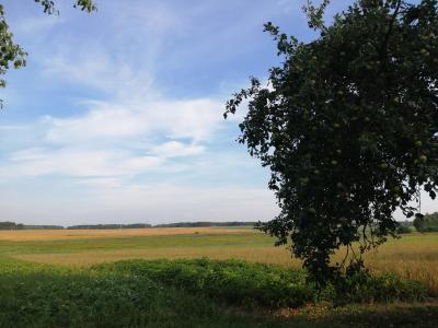 Путешествие по живописным окрестностям Гродно - 7