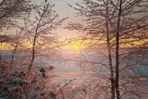 Архангельск и его удивительные окрестности - 5