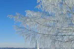 Знакомьтесь, Калязин! - 23