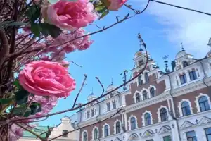 В старинный Выборг — на комфортабельном авто из Петербурга - 8