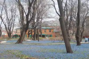 Москва дворянская - 8