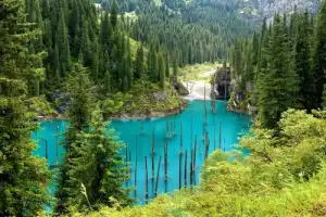 Природа Казахстана: 5 лучших мест за 1 день из Алматы - 10