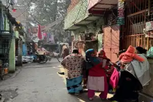 Нетуристический Дели: авто-пешеходная экскурсия - 11