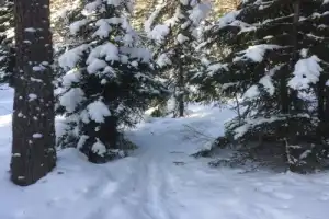 Прогулка по зимней Карелии тропами лешего Хийси - 10