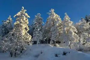 От каменного века до викингов, от Кижей до Рускеалы: индивидуальный тур по Карелии - 14