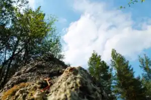 Треккинг по мурманской лесотундре - 9