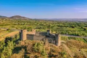 Групповая поездка в Кахетию: Бодбе, Сигнахи и Цинандали - 5