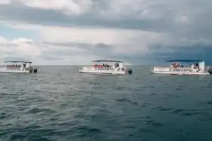 Трёхчасовая морская рыбалка в Адлере - 10
