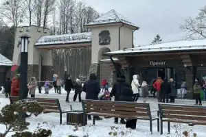Трансфер из Бреста в Беловежскую пущу и Каменец - 5