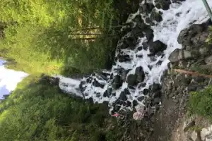 Озеро Рица и окрестности: экскурсия из Гагры - 16