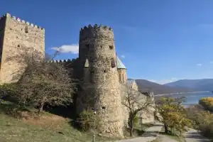 Путешествие из Тбилиси в Казбеги: от крепости Ананури до храма Гергети - 4