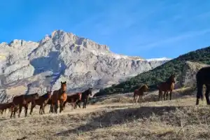 Авторское путешествие на джипе «Наедине с горами Осетии» - 15