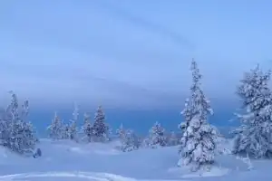 Арктическая экзотика: на снегоступах — по беломорской тундре - 3