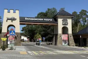 Трансфер из Бреста в Беловежскую пущу и обратно - 9