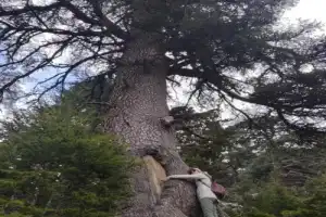 Гора Тахталы и треккинг по Ликийской тропе — в мини-группе - 11