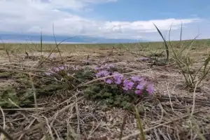 Сердце Байкала: из Иркутска — на Ольхон - 8