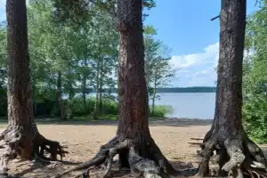 Сестрорецк — русская Финляндия (в мини-группе) - 6