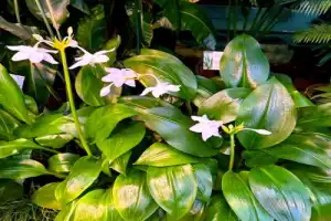 Величественные Хибины и Кировск за один день - 18