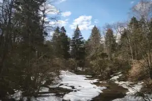 Середниково — родовое гнездо Лермонтовых - 3