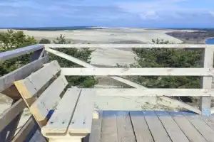 Куршская коса вдоль и поперёк - 8