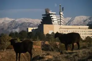 Из Ташкента — в Институт Солнца! - 3