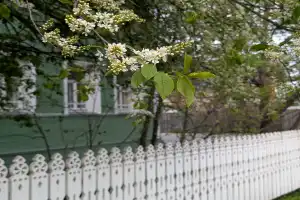 Тайны и чудеса древней Вологды - 12