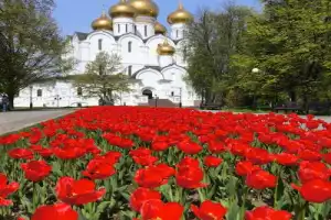 Добро пожаловать в Ярославль! - 9
