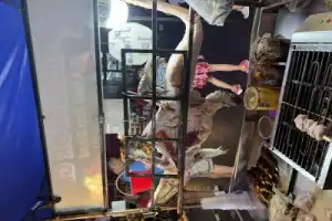 Вечерний Бангкок: закат, уличная еда и тайны мегаполиса - 9