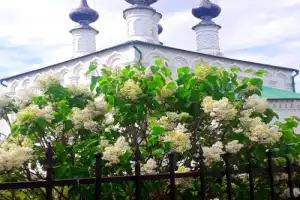 Суздаль и Боголюбово: улицы, церкви, история - 7