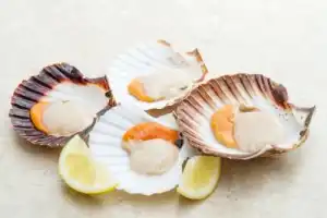 Гастропутешествие из Мурманска в Териберку! - 3