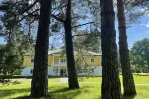 Большое Болдино: печальный замок Александра Пушкина - 5