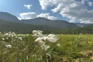 Счастье не за горами, счастье — в Хибинах (из Мурманска) - 6