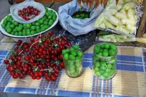 Винное приключение по Кахетии: Сигнахи, монастырь Бодбе, Телави - 4