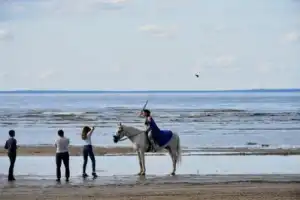 Дачный модерн — петербургские традиции Лахты - 2