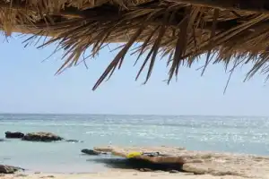 Из Шарм-эль-Шейха — в заповедник Рас-Мохаммед - 26