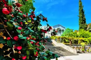 Из Тбилиси в Батуми: 4 древних города, грузинская кухня и морской бриз