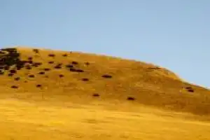 Поход на пик Бзерпи и закат в горах - 7